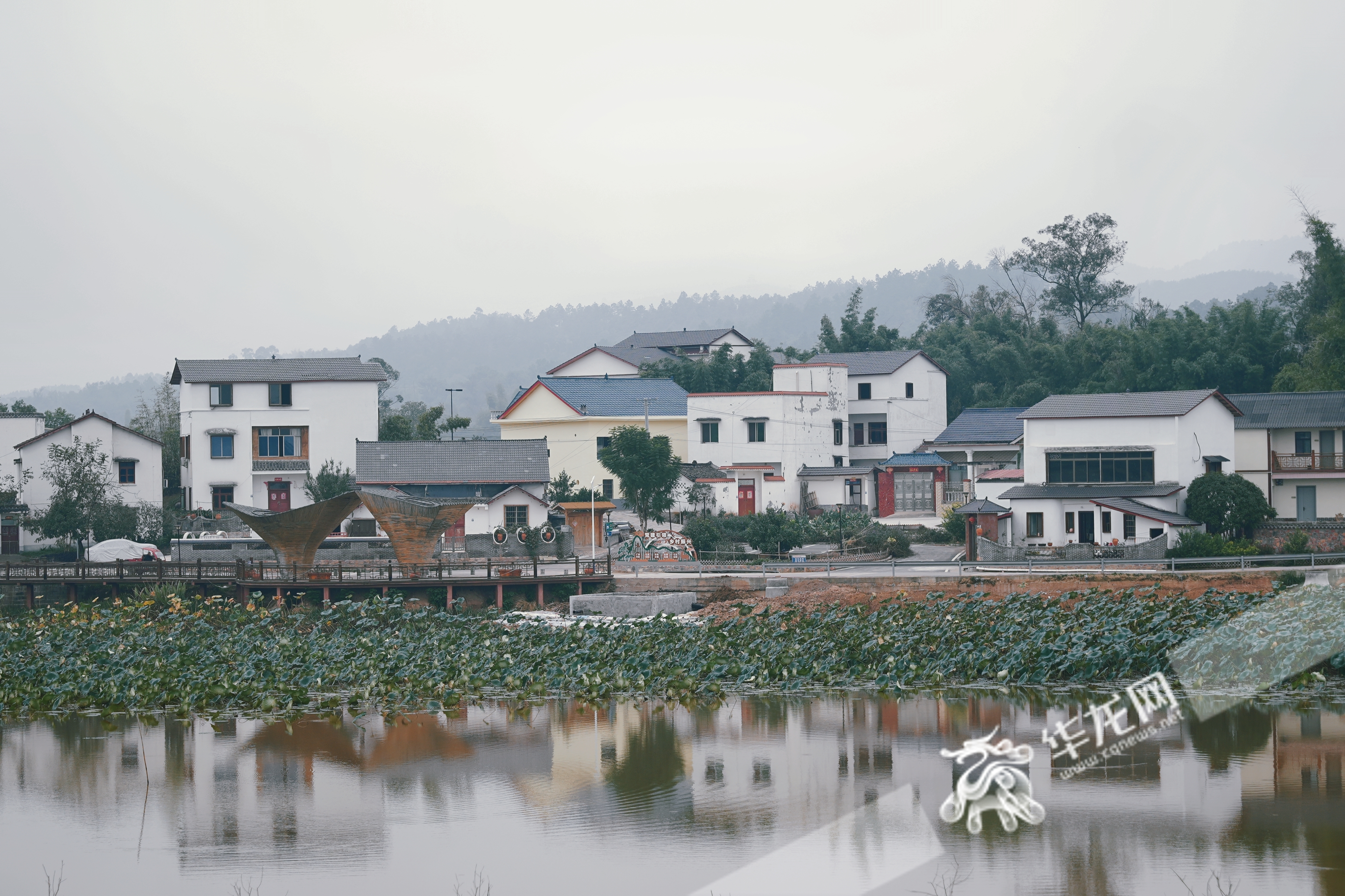 榮昌與隆昌攜手共建的成渝現(xiàn)代高效特色農(nóng)業(yè)帶“雙昌”合作示范園區(qū)。華龍網(wǎng) 辛飛 攝