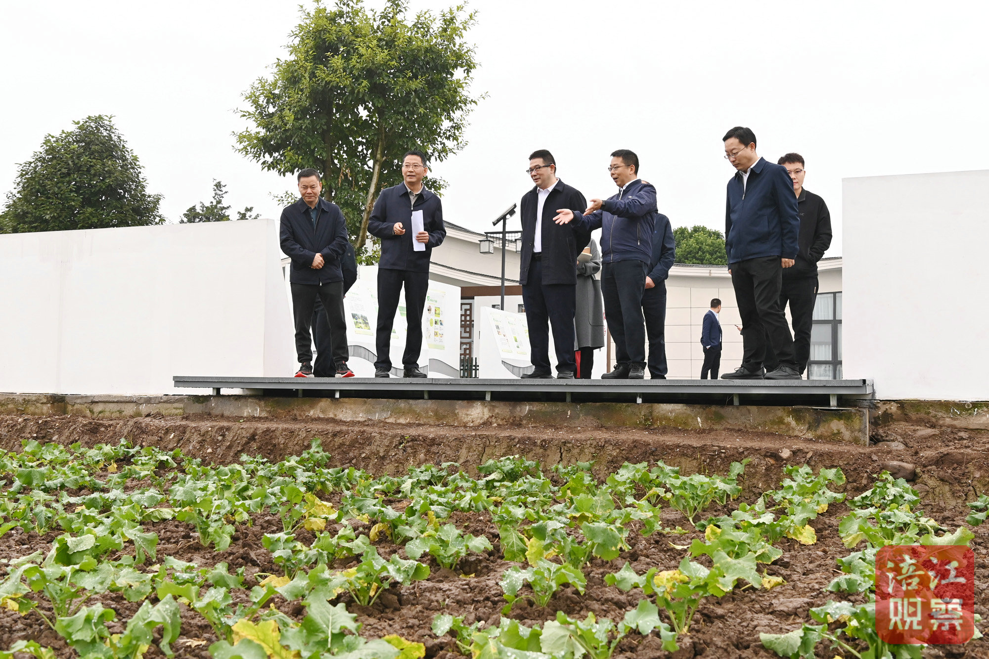 2024年11月10日，李云赴安州調(diào)研學(xué)習(xí)運用“千萬工程”經(jīng)驗4  張莉 攝.jpg