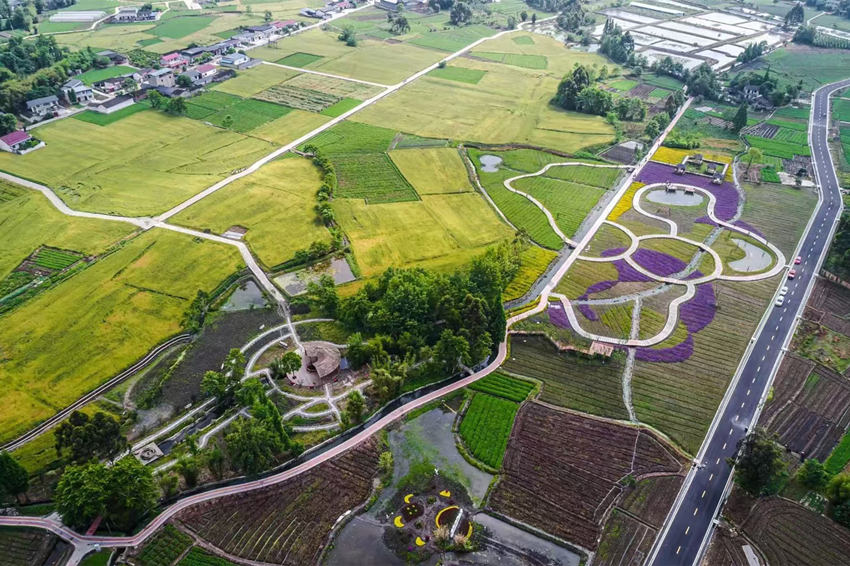 彭什川芎現(xiàn)代農(nóng)業(yè)園區(qū)航拍。敖平鎮(zhèn)供圖